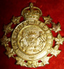 M54a - The Grey Regiment Cap Badge